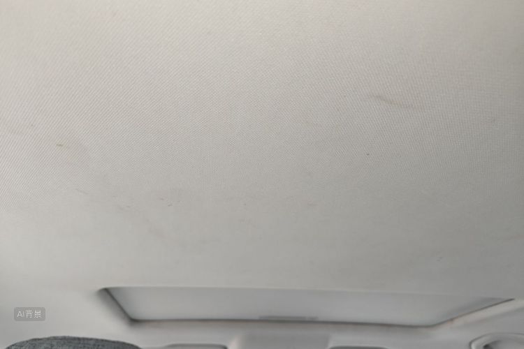Volkswagen Santana 2020 car image #20