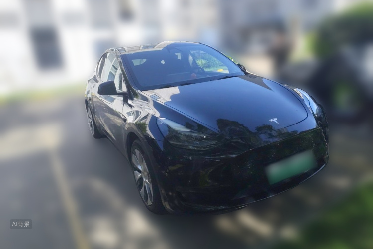 Tesla Model Y 2021 #4 Tesla Model Y 2021 car image #4