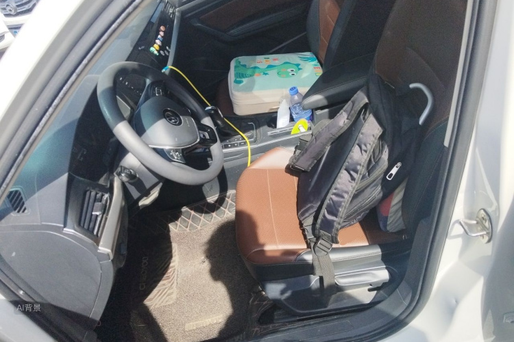 Volkswagen Lavida 2020 car image #17