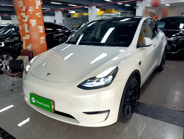 Tesla Model Y 2022 Tesla Model Y 2022 car image