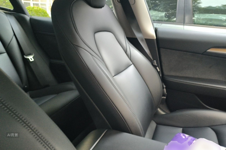 Tesla Model 3 2022 #17 Tesla Model 3 2022 صورة سيارة #17