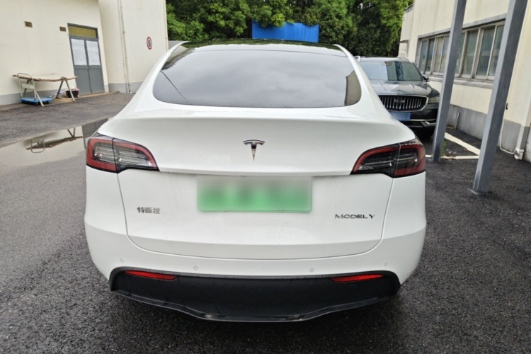 Tesla Model Y 2021 car image #6