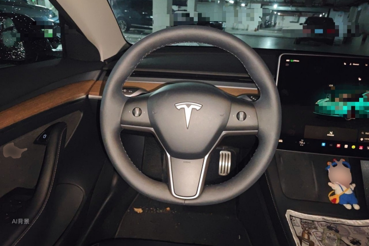 Tesla Model 3 2022 #12 Tesla Model 3 2022 car image #12