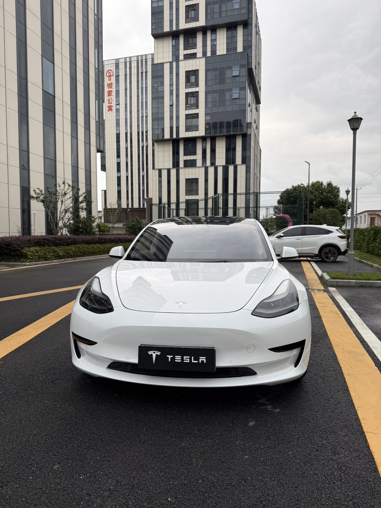 Tesla Model 3 2023 #2 Tesla Model 3 2023 car image #2