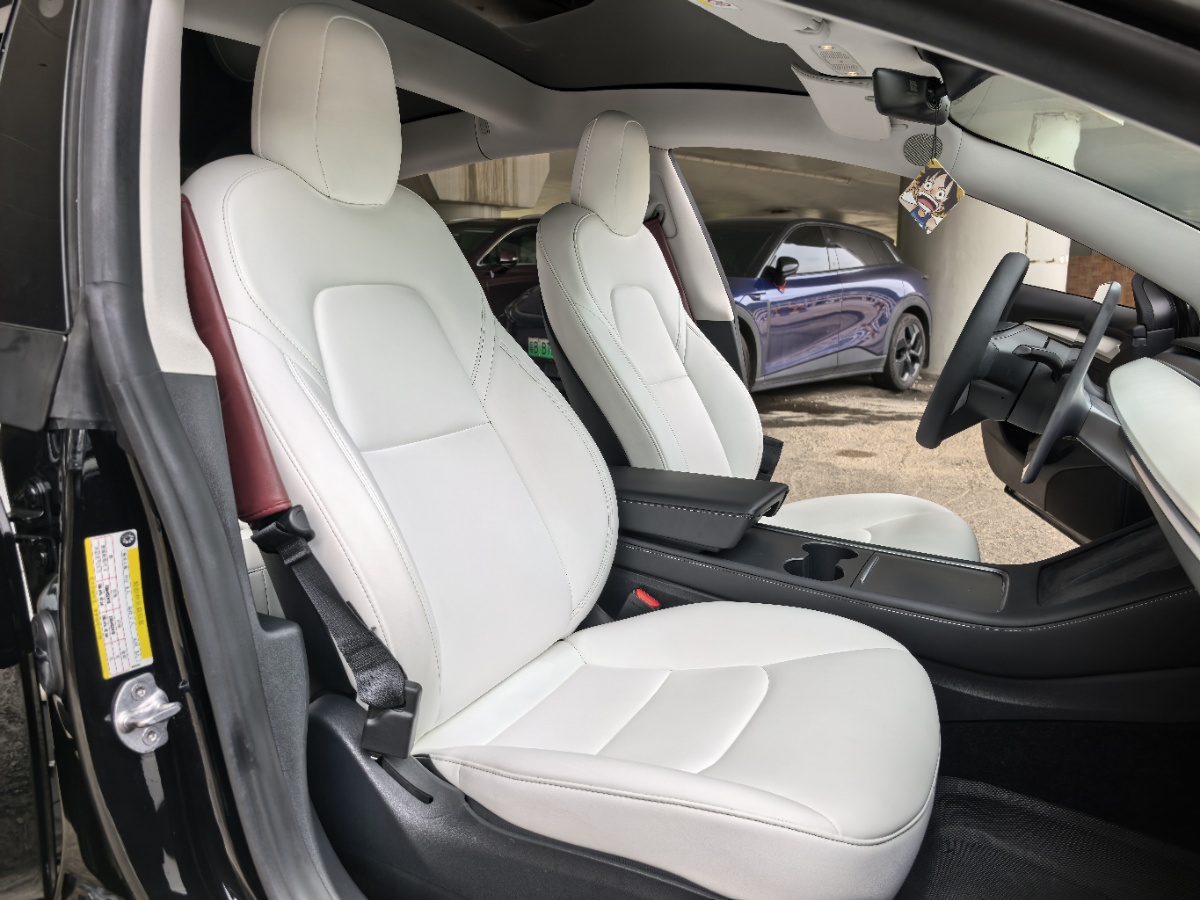 Tesla Model 3 2021 #7 Tesla Model 3 2021 car image #7