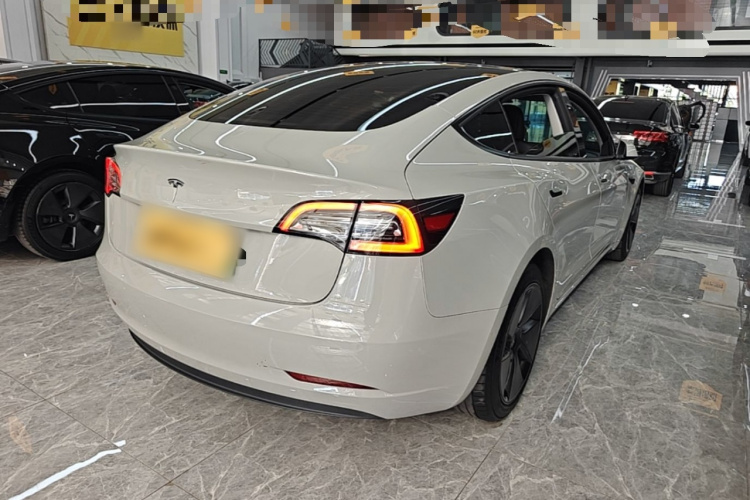 Tesla Model 3 2021 #7 Tesla Model 3 2021 car image #7