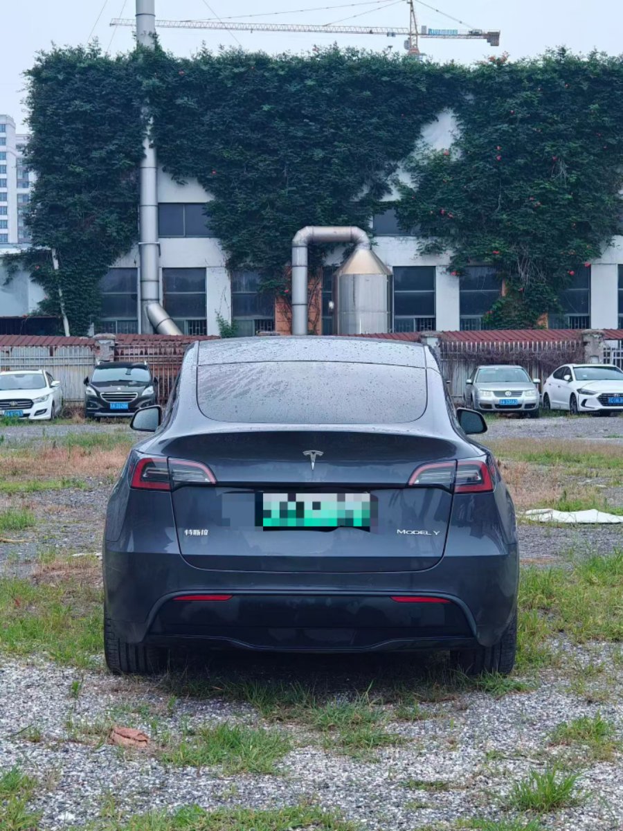 Tesla Model Y 2022 car image #6