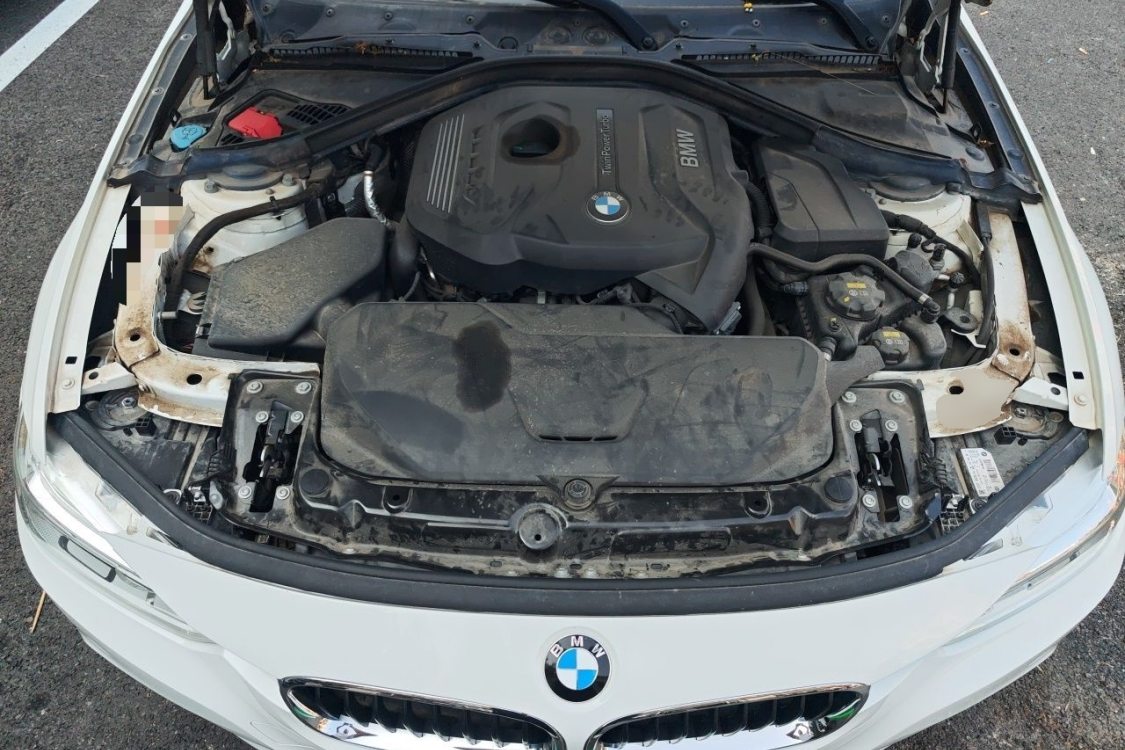 BMW 3 Series 2019 car image #10