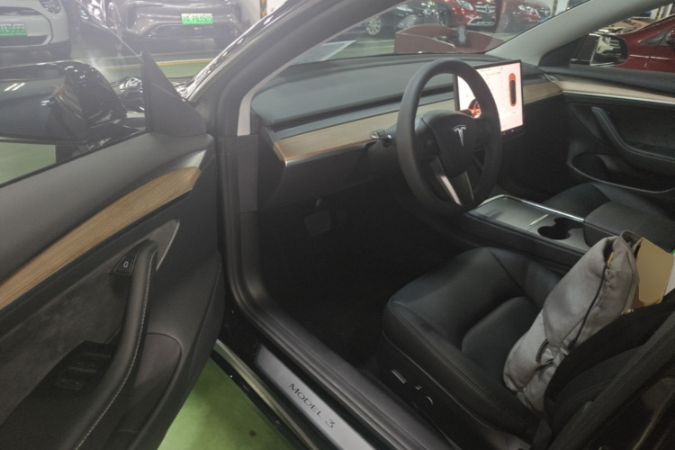 Tesla Model 3 2023 car image #16