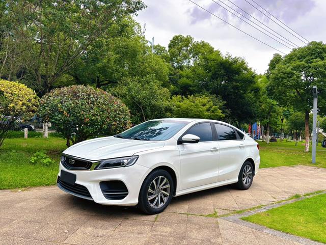 GEELY Binray 2020 #15 GEELY Binray 2020 immagine di auto #15