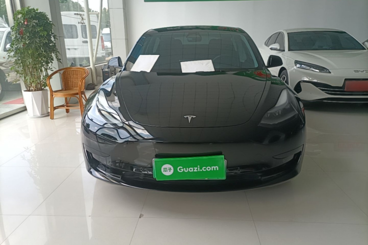 Tesla Model 3 2023 #3 Tesla Model 3 2023 car image #3