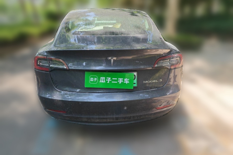 Tesla Model 3 2020 car image #4