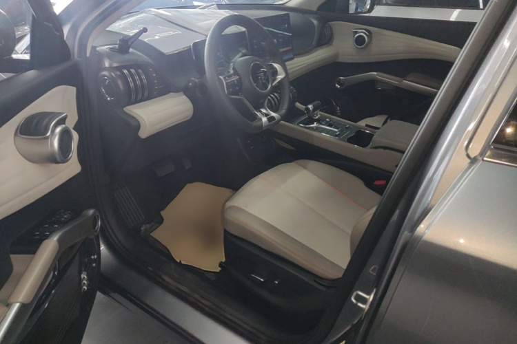 BYD Yuan Plus 2023 car image #16