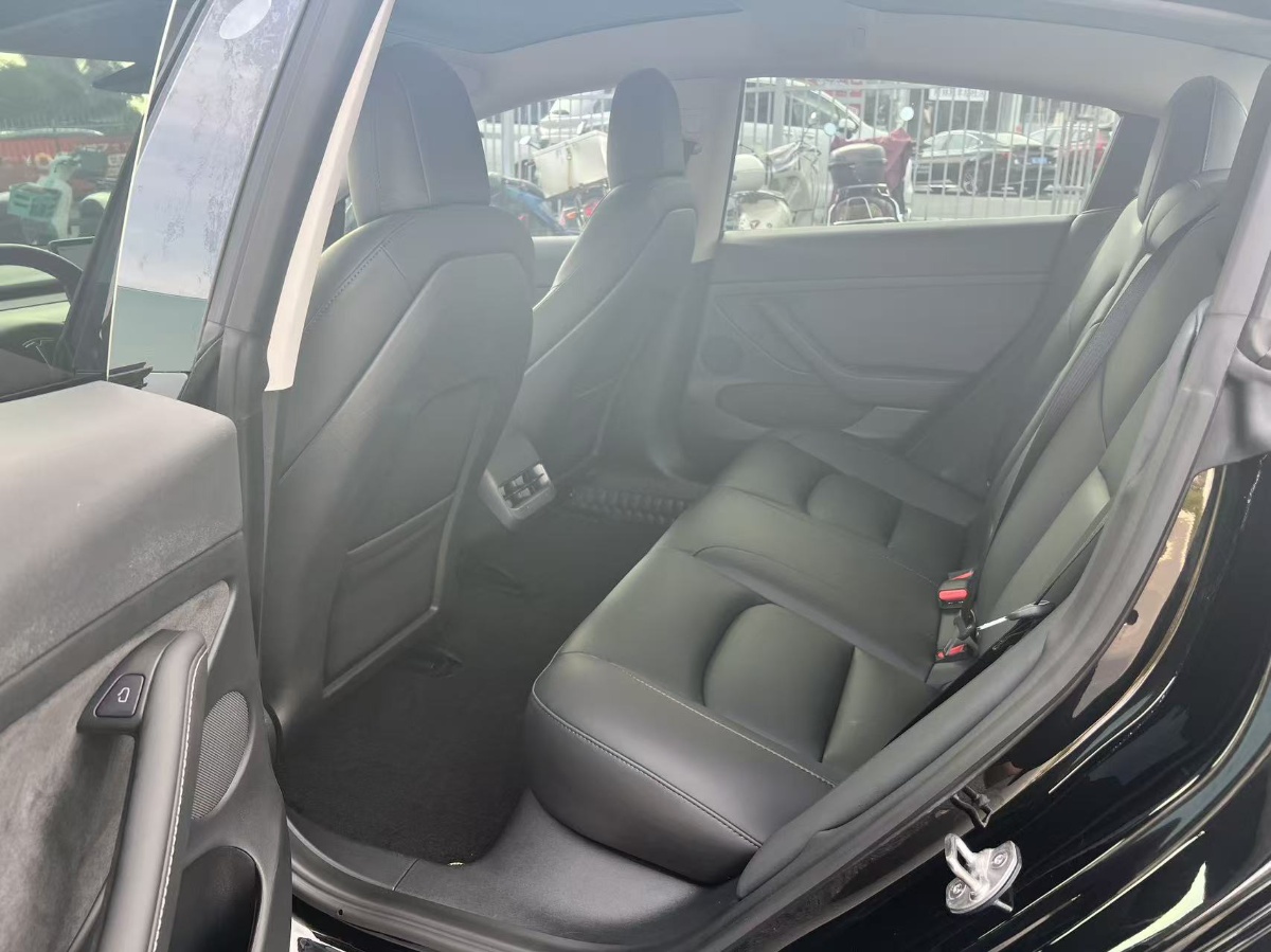 Tesla Model 3 2022 car image #7