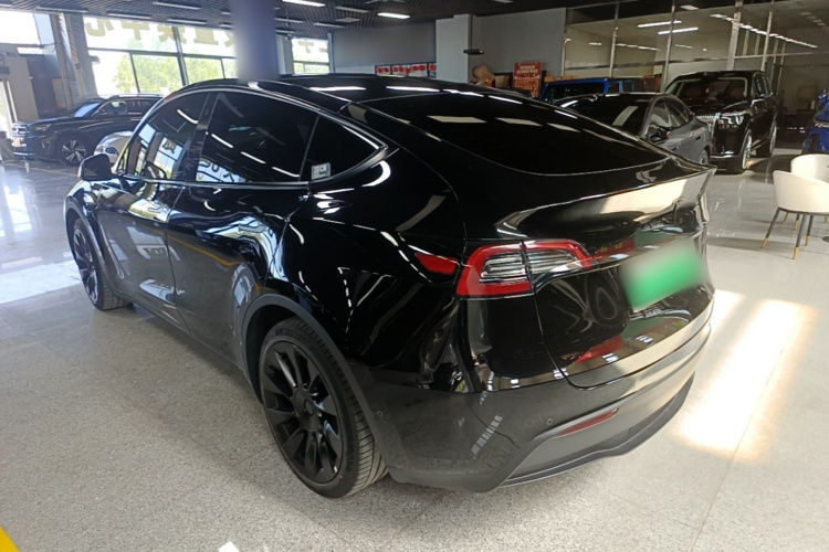 Tesla Model Y 2023 #5 Tesla Model Y 2023 car image #5