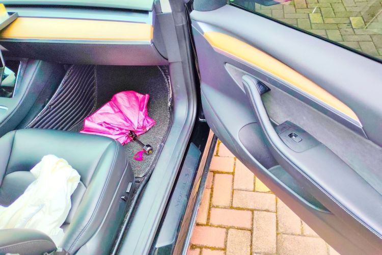 Tesla Model 3 2021 car image #23