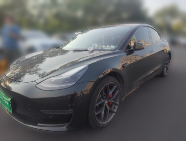 Tesla Model 3 2021 Tesla Model 3 2021 car image