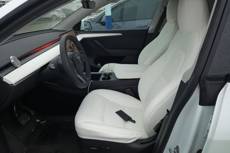 Tesla Model Y 2023 car image #19