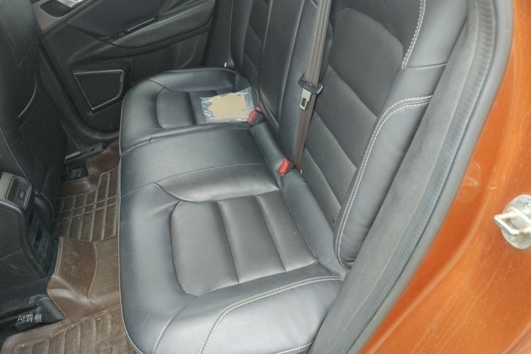 GEELY Emgrand GS 2016 car image #19