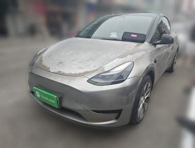 Tesla Model Y 2022 immagine di auto 