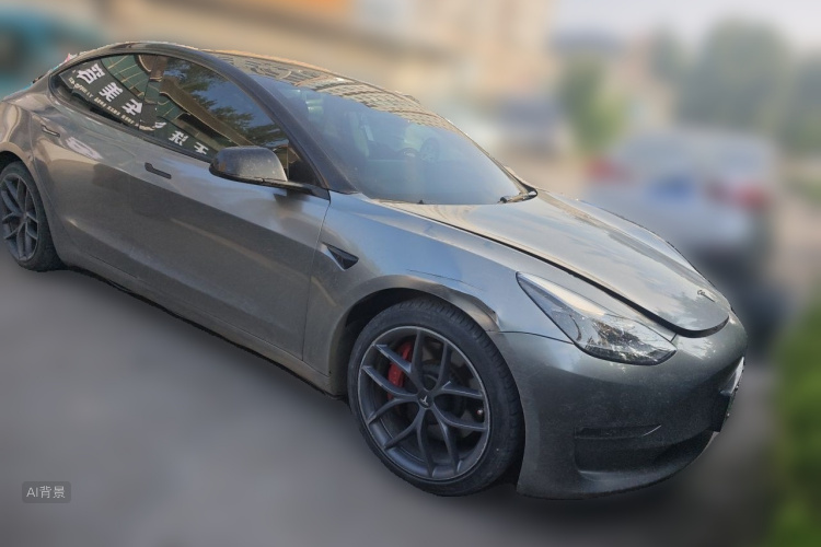 Tesla Model 3 2022 car image #4