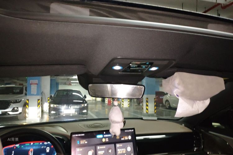 BYD Han 2023 صورة سيارة #20