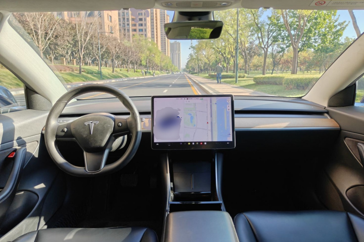 Tesla Model 3 2020 car image #10