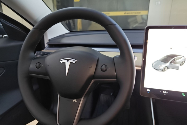 Tesla Model 3 2020 car image #11