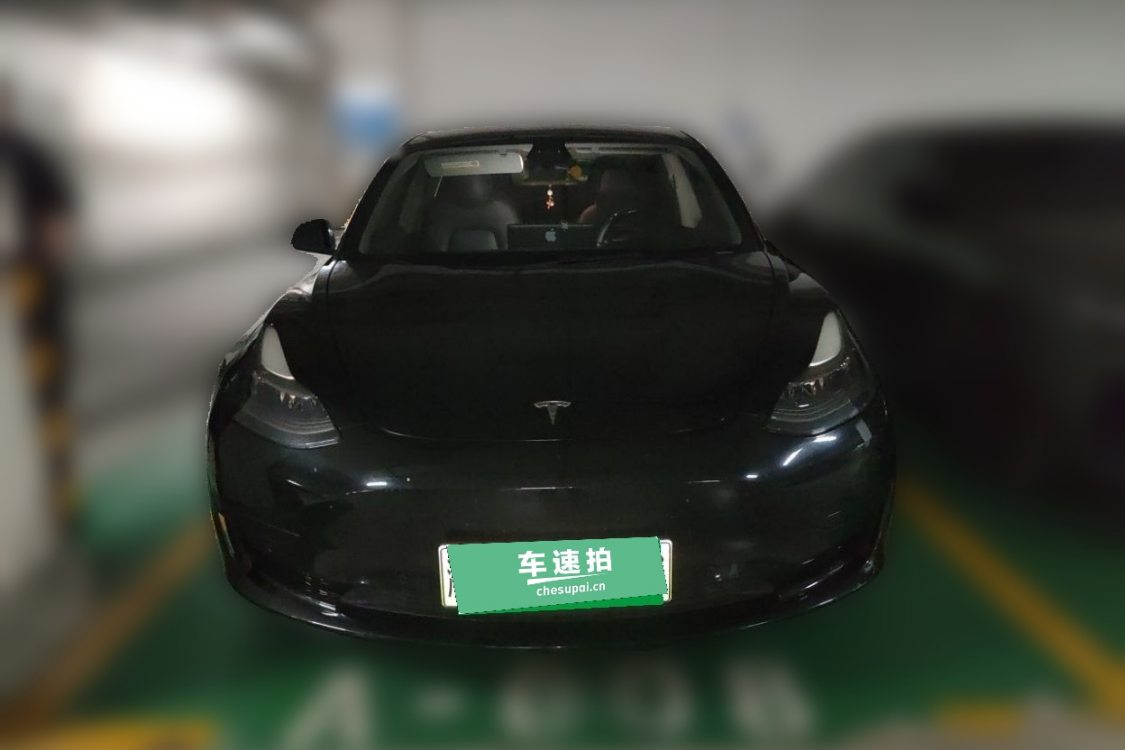Tesla Model 3 2021 #5 Tesla Model 3 2021 car image #5