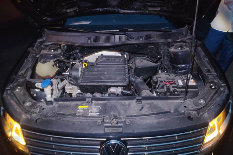 Volkswagen Lavida 2019 car image #22