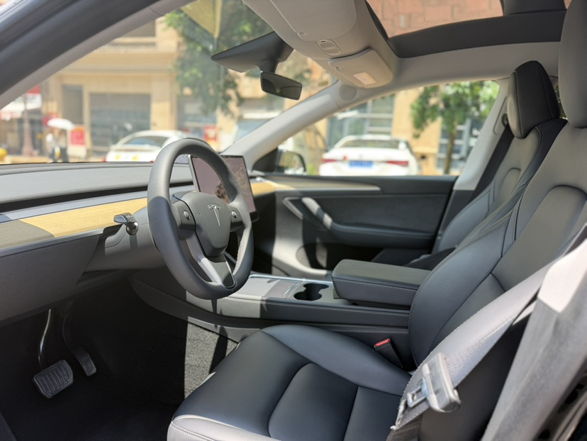 Tesla Model Y 2023 car image #9