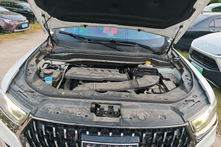 Haval H6 2024 car image #20