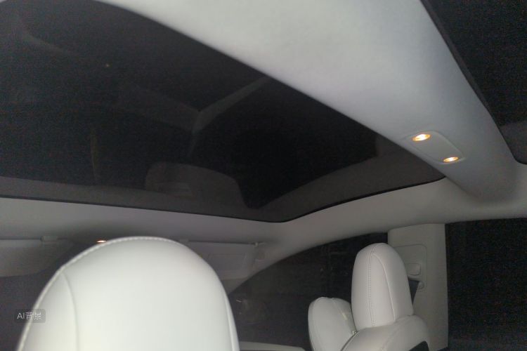 Tesla Model 3 2021 car image #20