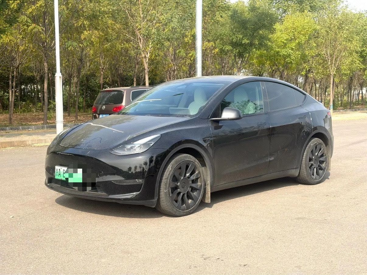 Tesla Model Y 2023 immagine di auto 