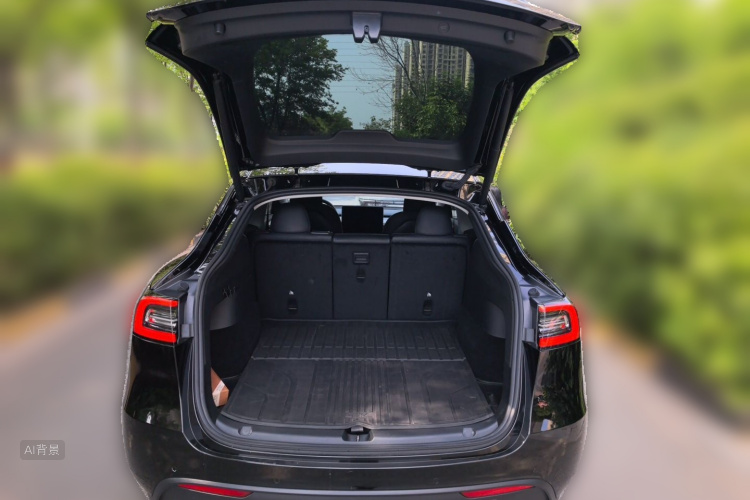 Tesla Model Y 2023 car image #21