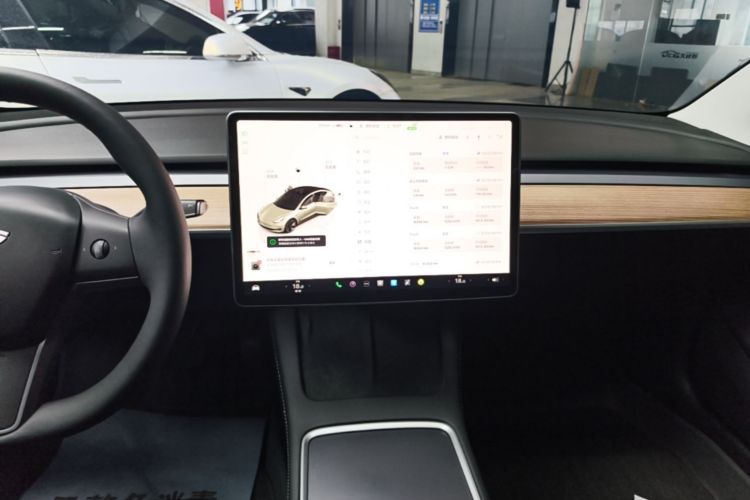 Tesla Model 3 2023 car image #13