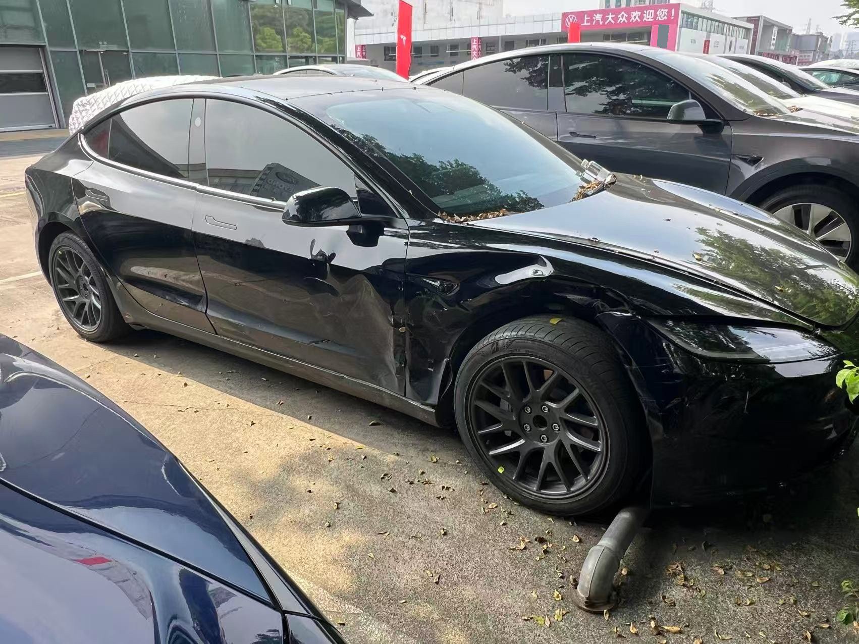 Tesla Model 3 2025 immagine di auto #2