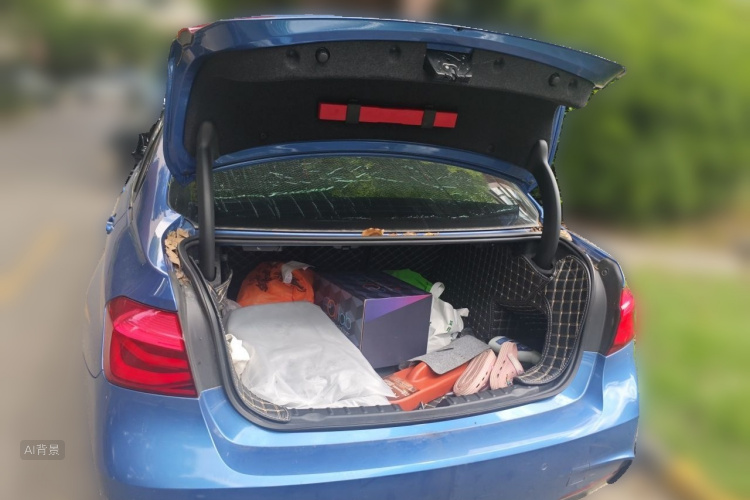 BMW 3 Series 2018 car image #21