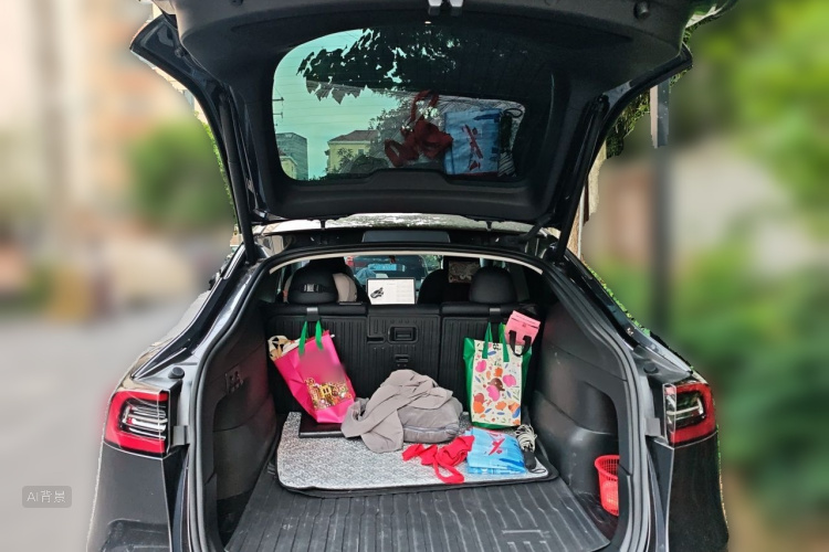 Tesla Model Y 2024 car image #21