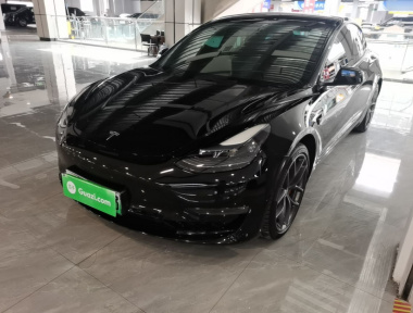 Tesla Model 3 2022 Tesla Model 3 2022 car image