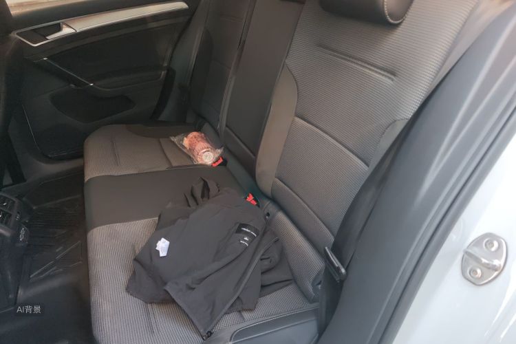 Volkswagen Golf 2019 car image #19
