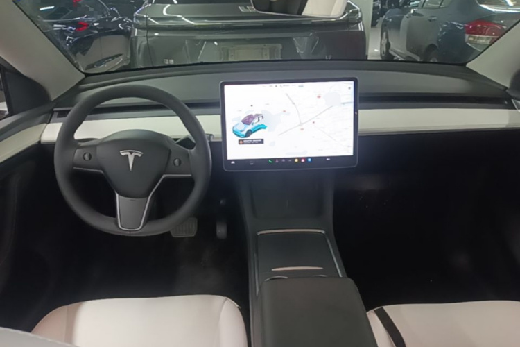 Tesla Model Y 2021 car image #10