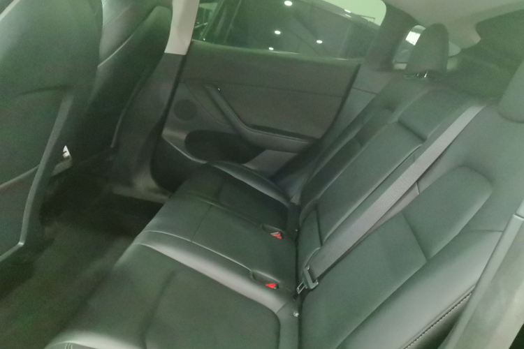 Tesla Model Y 2021 #17 Tesla Model Y 2021 car image #17