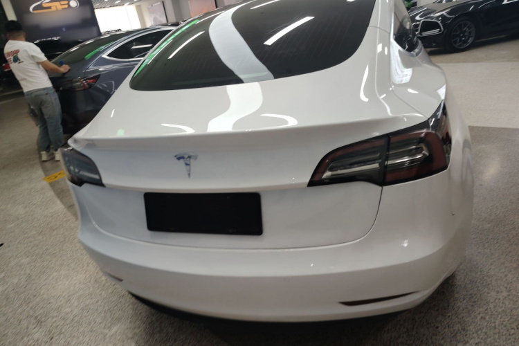 Tesla Model 3 2020 car image #6