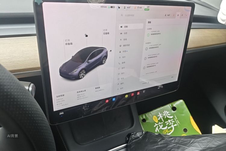 Tesla Model Y 2021 car image #13