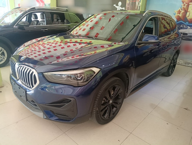 BMW X1 2019 car image 