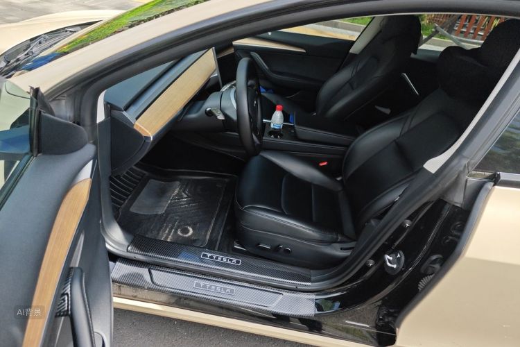 Tesla Model 3 2022 car image #18