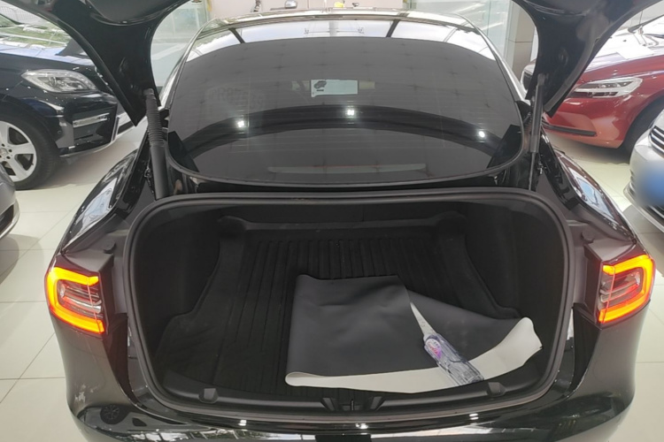 Tesla Model 3 2021 #21 Tesla Model 3 2021 car image #21