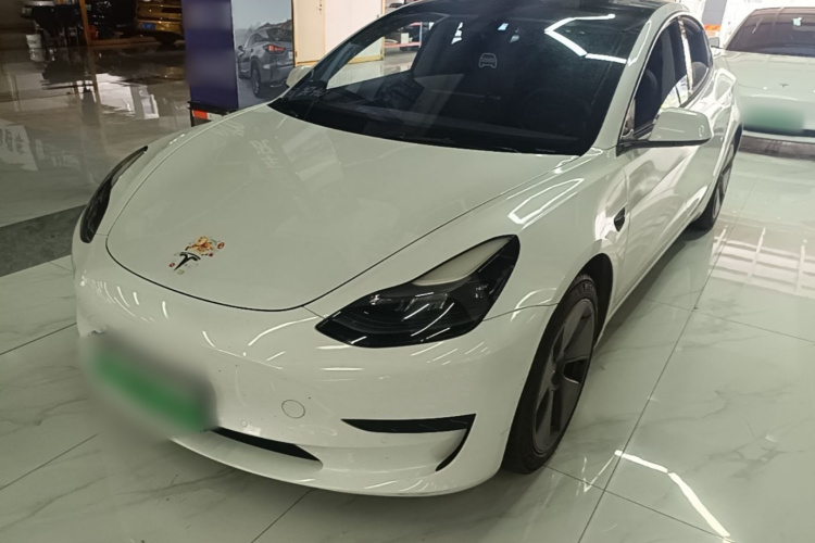 Tesla Model 3 2021 car image #2