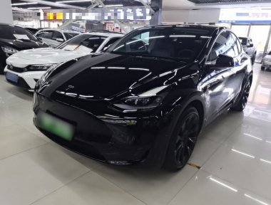 Tesla Model Y 2022 car image 